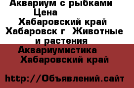 Аквариум с рыбками › Цена ­ 15 000 - Хабаровский край, Хабаровск г. Животные и растения » Аквариумистика   . Хабаровский край